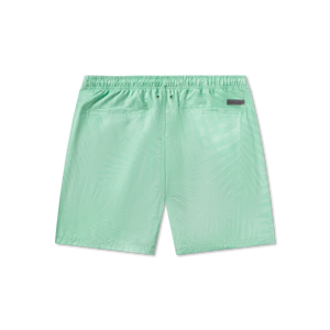 SOUTHERN MARSH COLLECTION Mens Shorts Southern Marsh Pier Lined Trunk - Palms || David's Clothing
