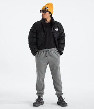 THE NORTH FACE Men's Pants North Face Men’s Evolution Simple Dome Joggers