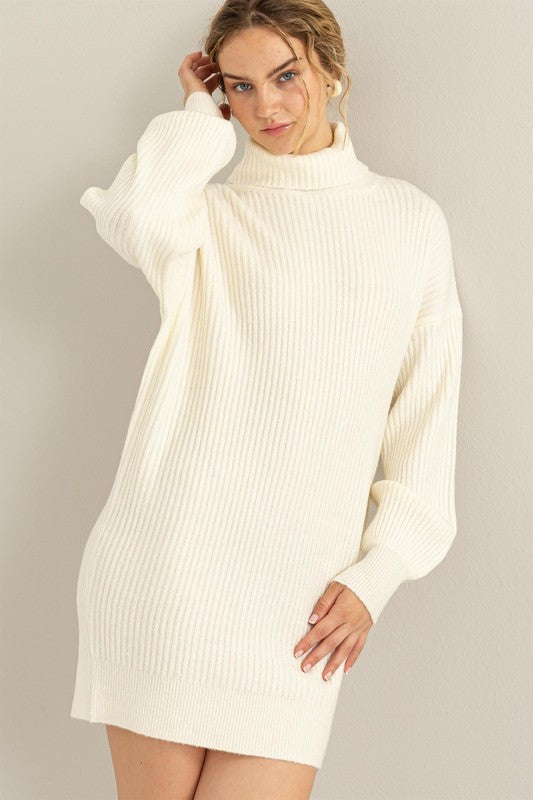 HYFVE INC. Women's Dresses CREAM / S Daily Dream Ribbed Turtleneck Sweater Mini Dress || David's Clothing DZ23G305