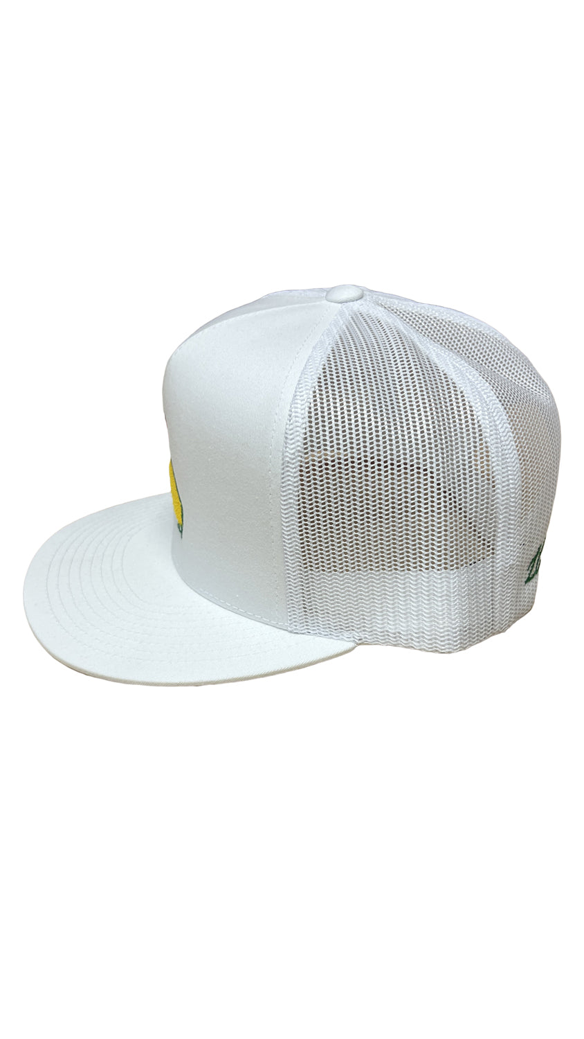 RIVERBED THREADS Men's Hats Riverbed Thread GA Golf 5 Panel Performance Snapback